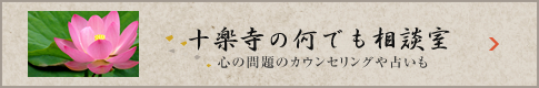 十楽寺の何でも相談室　心の問題のカウンセリングや占いも