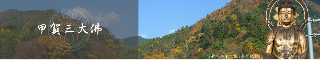 滋賀県湖国甲賀市の十楽寺│甲賀三大佛について