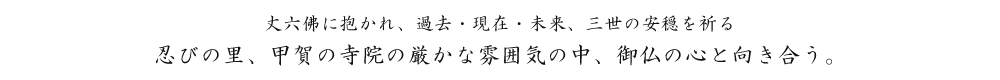 丈六佛に抱かれ、過去・現在・未来、三世の安穏を祈る　忍びの里、甲賀の寺院の厳かな雰囲気の中、御仏の心と向き合う。